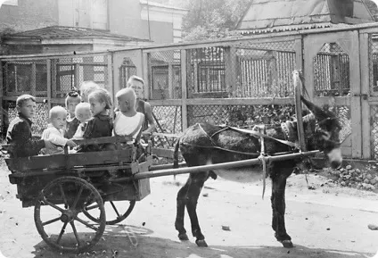 Подвиг працівників ленінградського зоопарку як люди допомогли тваринам пережити блокаду (ленінградського) Подвиг працівників ленінградського зоопарку як люди допомогли тваринам пережити блокаду