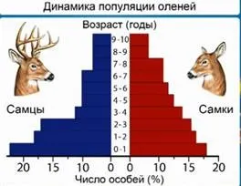 Популяція як форма існування видів в природі (біологія 9 клас) (свята в дитячому садку) Популяція як форма існування видів в природі (біологія 9 клас)