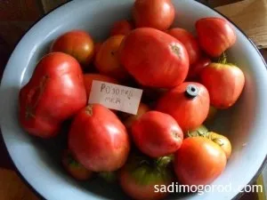 Помідори рожевий мед перемагають