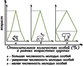 поняття популяції