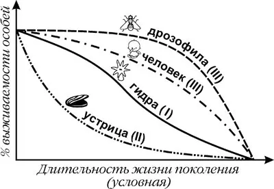 поняття популяції