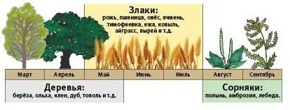 Поллліноз симптоми рінокон'юнктівіта, методи лікування сінної лихоманки і профілактика захворювання (симптоми) Поллліноз симптоми рінокон'юнктівіта, методи лікування сінної лихоманки і профілактика захворювання