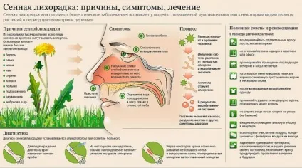 Поллліноз симптоми рінокон'юнктівіта, методи лікування сінної лихоманки і профілактика захворювання (сінної) Поллліноз симптоми рінокон'юнктівіта, методи лікування сінної лихоманки і профілактика захворювання