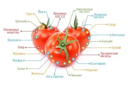 Помідори при гастриті і їх вплив на слизову шлунка (шлунка) Помідори при гастриті і їх вплив на слизову шлунка