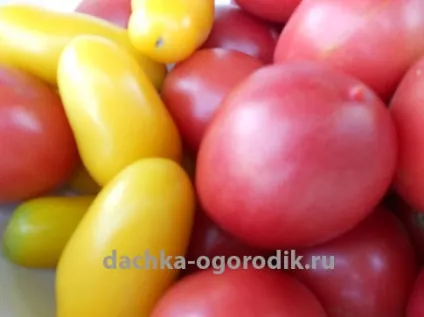 Помідори де-бару