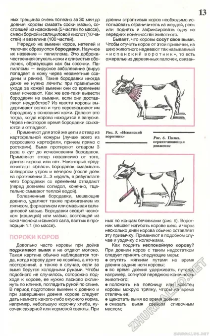 Пороки корів - зроби сам (вогник) 1993-04, сторінка 15 (корів) Пороки корів - зроби сам (вогник) 1993-04, сторінка 15