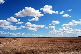 10 Важливих моментів оренди невитребуваних паїв - василь Кисіль і партнери (паїв) 10 Важливих моментів оренди невитребуваних паїв - василь Кисіль і партнери