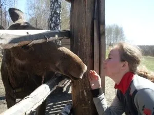 10 Ідей відмінно і недорого провести час з дитиною на канікулах в москві (дитиною) 10 Ідей відмінно і недорого провести час з дитиною на канікулах в москві