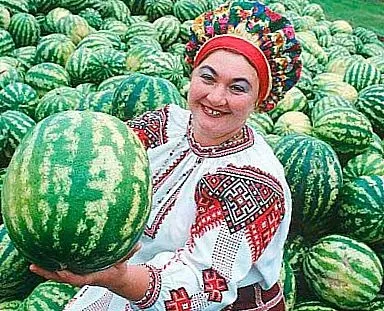10 Порад з вибору стиглого кавуна (кавуна) 10 Порад з вибору стиглого кавуна