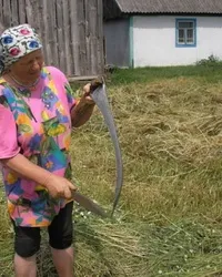 Поява і розвиток науки про працю