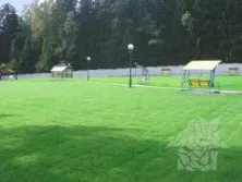 посів насіння