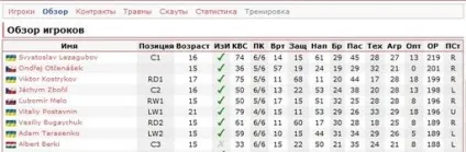 Powerplay manager - хокей (огляд) - про все - ігри (гра геймери.) Powerplay manager - хокей (огляд) - про все - ігри