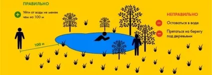Правила безпеки під час грози