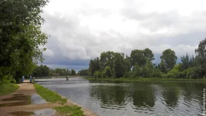 За товариський області