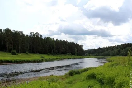 За товариський області