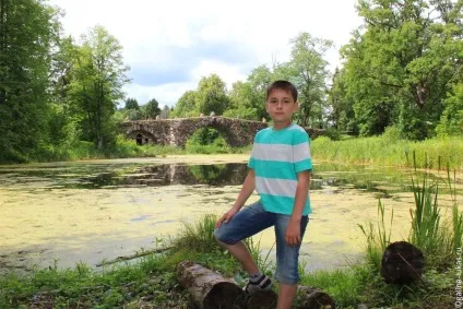 За товариський області