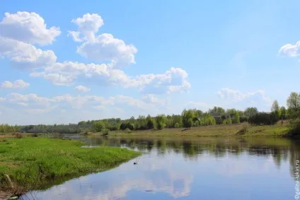 За товариський області