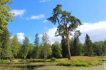 За товариський області