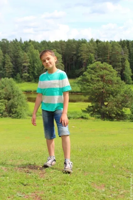 За товариський області
