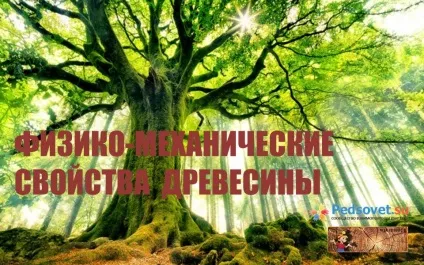 Презентації - технологія - спільнота взаємодопомоги вчителів (Ларькова Галина Смелаовна) Презентації - технологія - спільнота взаємодопомоги вчителів