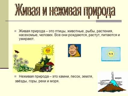 Презентація на тему робота учениці 3 класу клінніковой насти (робота учениці 3 класу клінніковой насти. Мета роботи: з'ясувати) Презентація на тему робота учениці 3 класу клінніковой насти