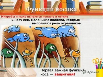 Презентація на тему носики всякі потрібні, носики різні важливі мета роботи довести, що ніс - (носики різні важливі мета роботи: довести) Презентація на тему носики всякі потрібні, носики різні важливі мета роботи довести, що ніс -