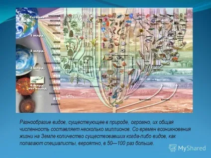 Презентація на тему видоутворення як результат мікроеволюції (що відбуваються всередині окремих або суміжних популяцій виду) Презентація на тему видоутворення як результат мікроеволюції