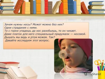 Презентація на тему носики всякі потрібні, носики різні важливі мета роботи довести, що ніс - (особливості його будови) Презентація на тему носики всякі потрібні, носики різні важливі мета роботи довести, що ніс -