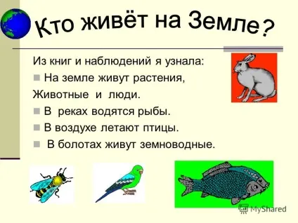 Презентація на тему робота учениці 3 класу клінніковой насти (хто і навіщо живе на землі? Навіщо живе на землі людина?) Презентація на тему робота учениці 3 класу клінніковой насти