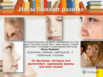 Презентація на тему носики всякі потрібні, носики різні важливі мета роботи довести, що ніс - (особливості його будови) Презентація на тему носики всякі потрібні, носики різні важливі мета роботи довести, що ніс -