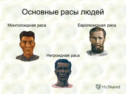Презентація на тему ландшафт як фактор здоров'я (ландшафт) Презентація на тему ландшафт як фактор здоров'я