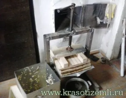 Прес для яблук своїми руками, краси землі (якщо знати послідовність виготовлення.) Прес для яблук своїми руками, краси землі
