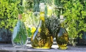 Застосування настоянки з полину інстркуція, відгуки
