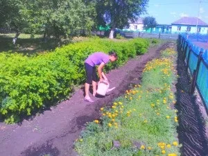 Пришкільний ділянку - сайт Красненської основної школи (школи) Пришкільний ділянку - сайт Красненської основної школи