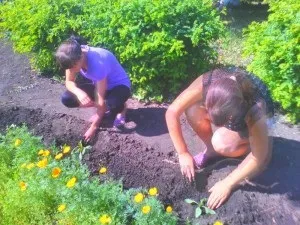 Пришкільний ділянку - сайт Красненської основної школи (школи) Пришкільний ділянку - сайт Красненської основної школи