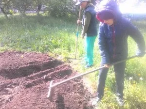 Пришкільний ділянку - сайт Красненської основної школи (сайт) Пришкільний ділянку - сайт Красненської основної школи