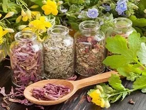Припливи при клімаксі лікування народними засобами, переваги (переваги) Припливи при клімаксі лікування народними засобами, переваги