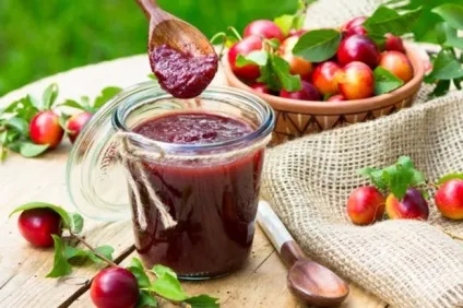 Застосування аличі користь і шкода для здоров'я людини (шкода аличі) Застосування аличі користь і шкода для здоров'я людини