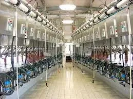 Продаж молочних продуктів вироблених на своїй фермі, завод бізнесу (продаж молочних продуктів) Продаж молочних продуктів вироблених на своїй фермі, завод бізнесу