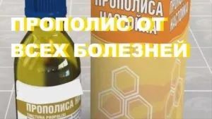 Прополіс на спирту від грибка нігтів - перевірені та ефективні рецепти (прополіс) Прополіс на спирту від грибка нігтів - перевірені та ефективні рецепти