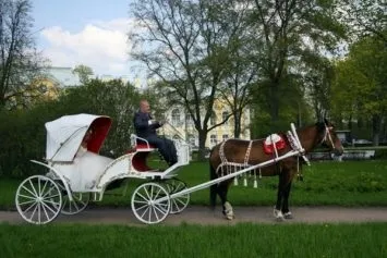 Прокат і оренда карет і кінних екіпажів на весілля (оренда) Прокат і оренда карет і кінних екіпажів на весілля