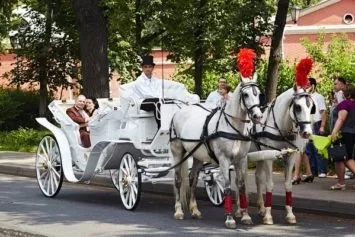 Прокат і оренда карет і кінних екіпажів на весілля (карет) Прокат і оренда карет і кінних екіпажів на весілля