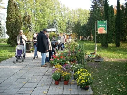 Продаж розсади і насіння на вднх (вднх) Продаж розсади і насіння на вднх