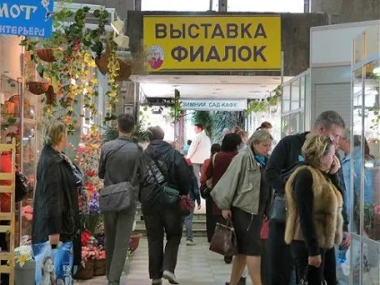 Продаж розсади і насіння на вднх (розсади) Продаж розсади і насіння на вднх