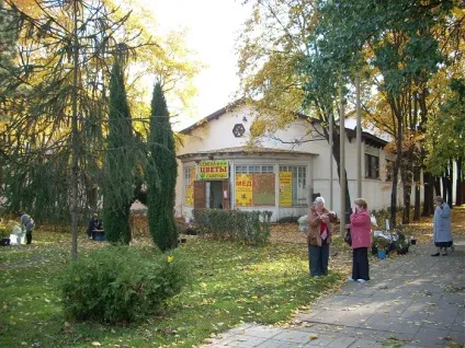 Продаж розсади і насіння на вднх (розсади) Продаж розсади і насіння на вднх