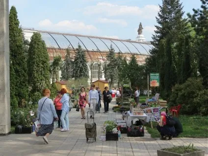 Продаж розсади і насіння на вднх (розсади) Продаж розсади і насіння на вднх