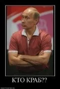 Путін злодій, шахрай підтасував вибори (путин злодій) Путін злодій, шахрай підтасував вибори