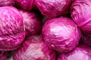 Простий рецепт маринованої капусти шматочками - маринована капуста від 1001 їжа (капуста маринована шматочками) Простий рецепт маринованої капусти шматочками - маринована капуста від 1001 їжа