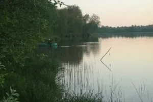 Найпростіша річна жерлица на щуку своїми руками (щуку) Найпростіша річна жерлица на щуку своїми руками
