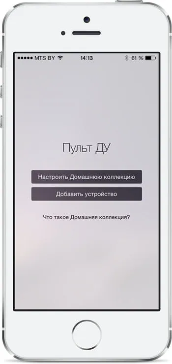 Пульт ду (remote)